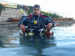 Narked Shark